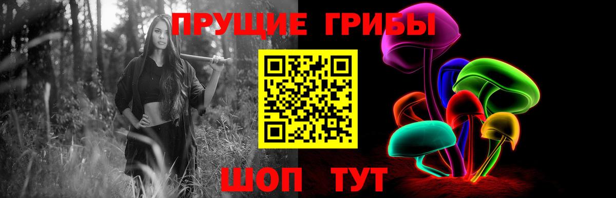 Екатеринбург  Галлюциногенные грибы Magic Shrooms  Вход с VPN  Псилоцибиновые грибы Psilocybe 